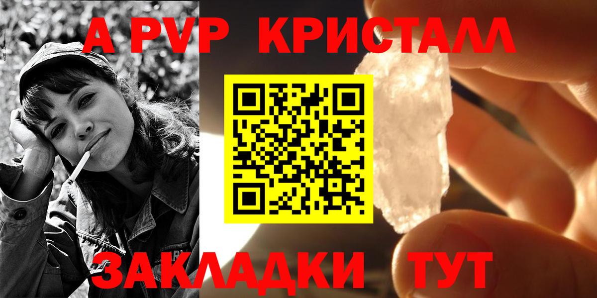 A PVP СК Сегежа
