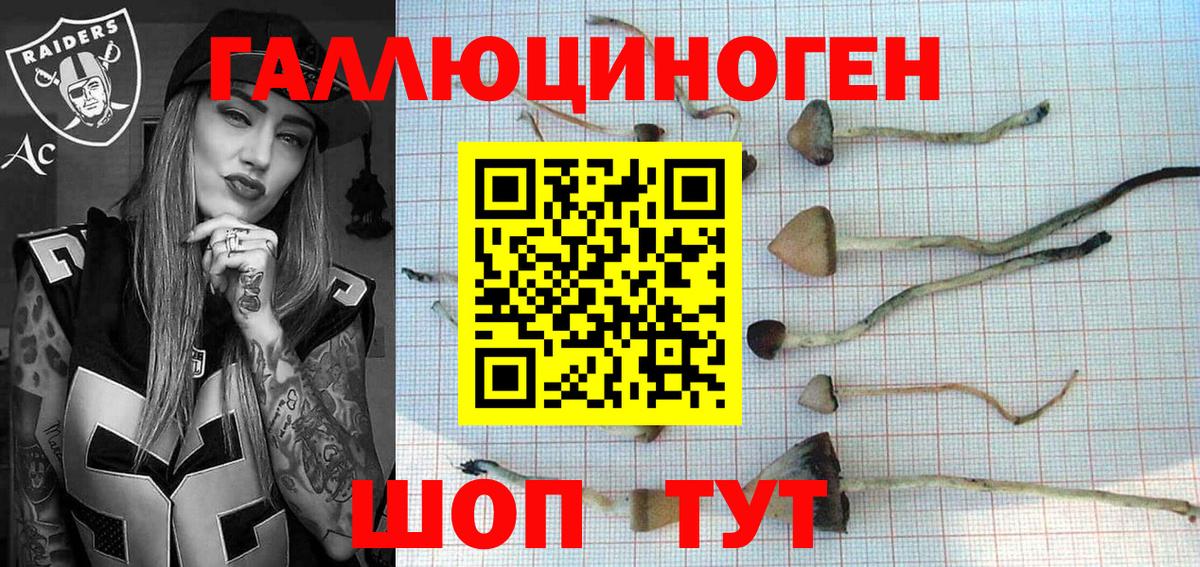 Псилоцибиновые грибы Cubensis  Псилоцибиновые грибы Psilocybe  Вход с VPN  Сегежа 