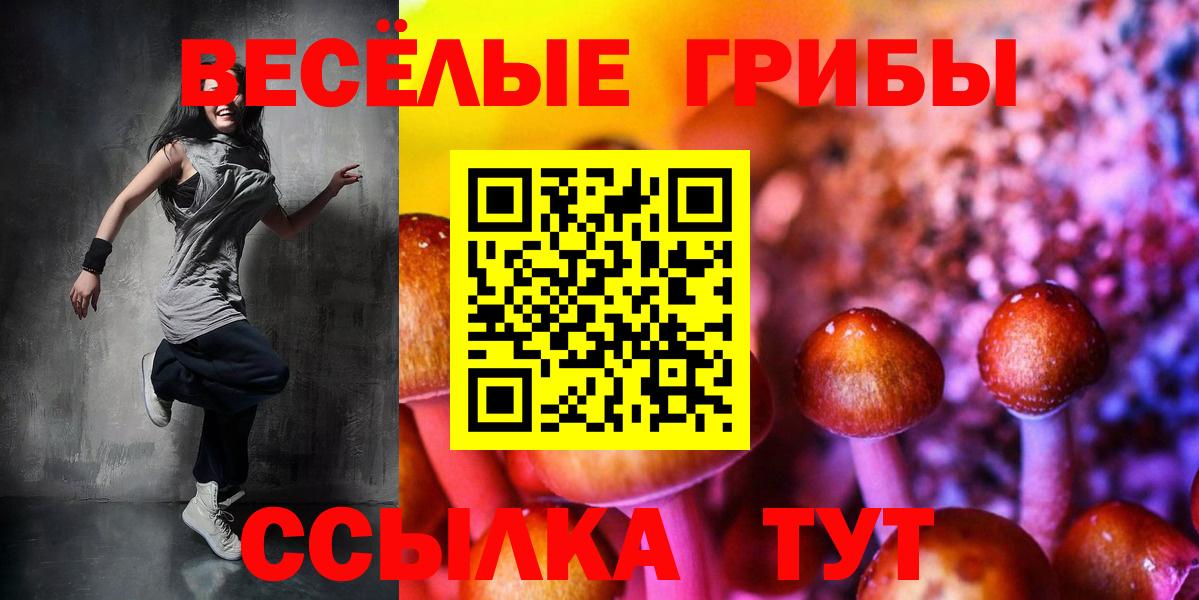 Псилоцибиновые грибы Psilocybine cubensis Сегежа
